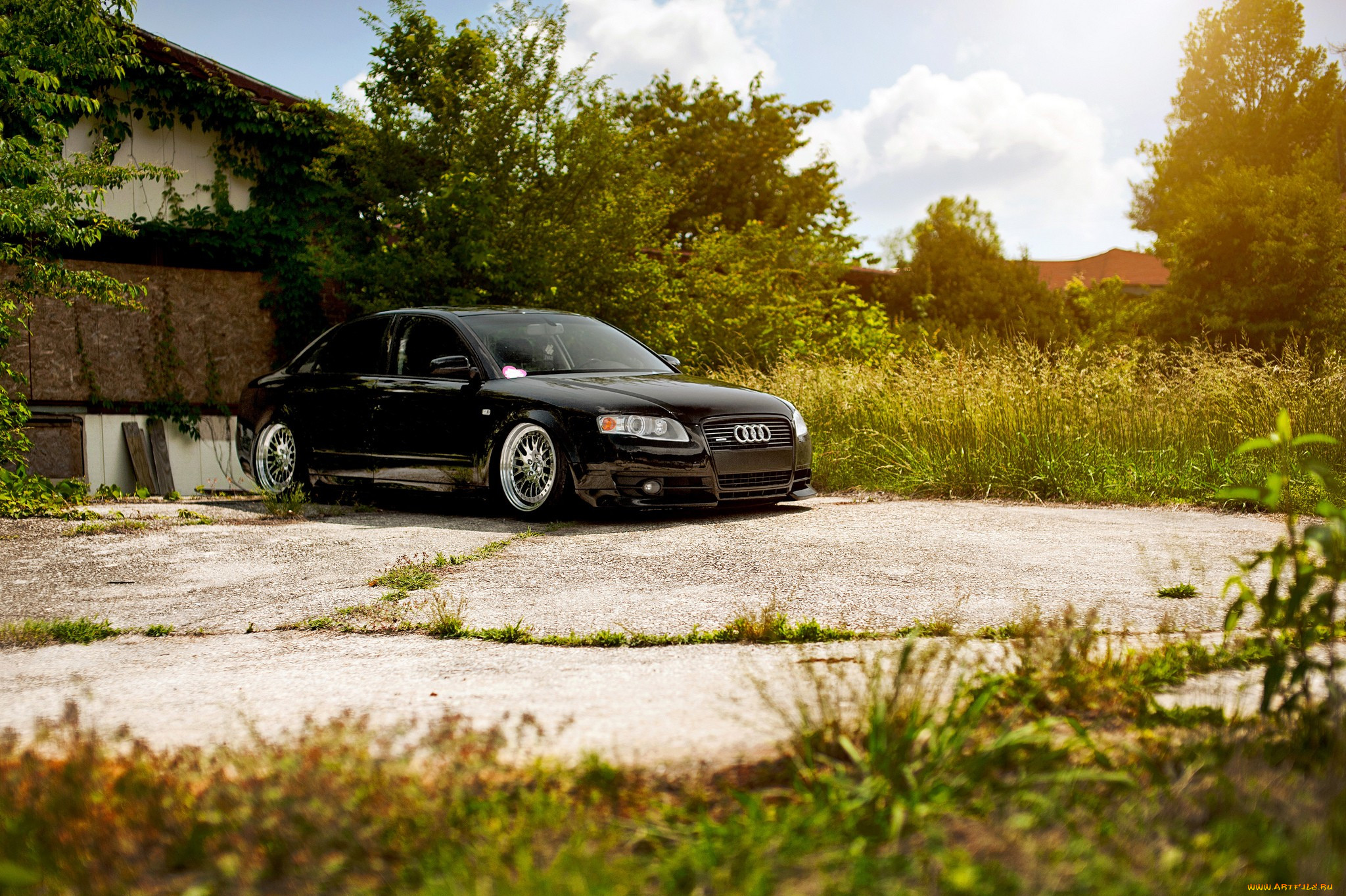 , audi